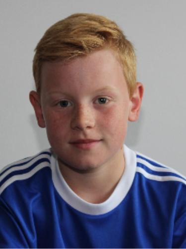 Hannes-Held