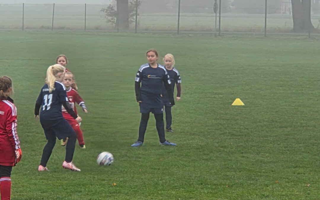 SV Oppenwehe – SV Schnathorst E-Juniorinnen (08.11.2025)