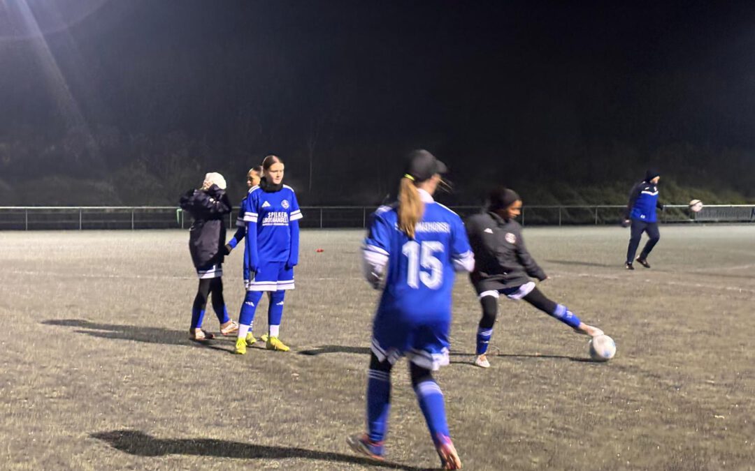 Verdienter Auswärtssieg unserer B-Juniorinnen in Leopoldshöhe